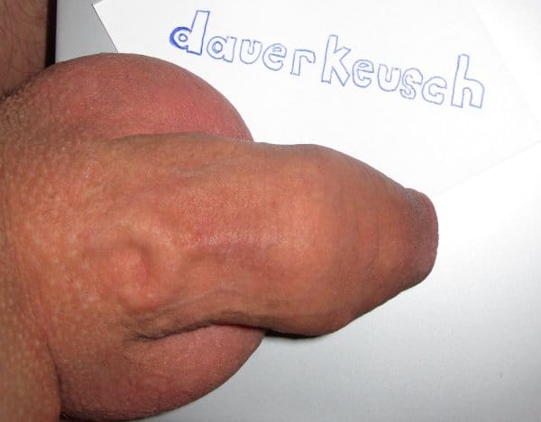 Keuschheitssklave Keuschhaltung